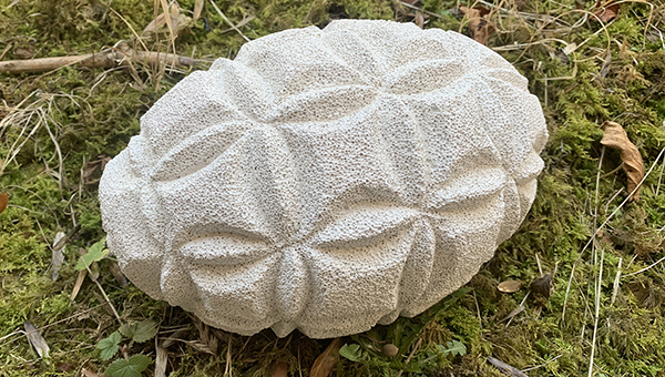 IZA - Isabelle Ardevol donne des cours de modelage en argile et de sculpture dans son atelier 