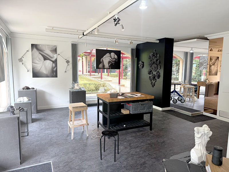 IZA - Isabelle Ardevol, atelier de sculpture a Pully, vue interieure