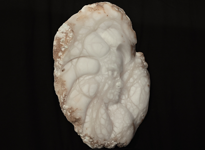 IZA, Isabelle Ardevol, sculpture en albatre appelée Symbiose - 2026